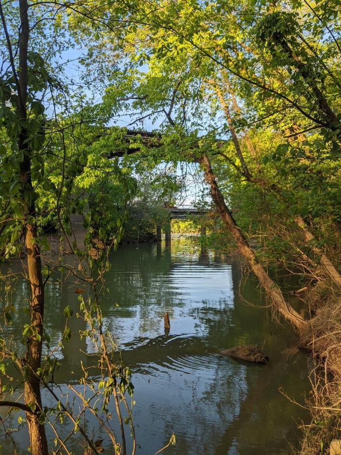 Celina Cabin Nature Cabin Near Downtown ชัททานูกา ภายนอก รูปภาพ